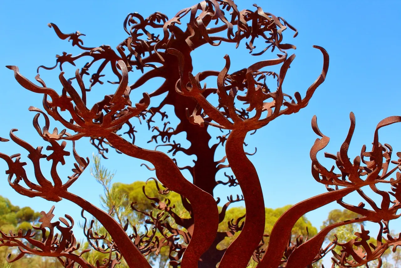 arid gardens